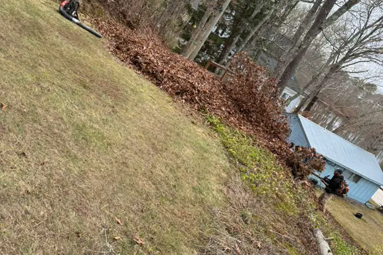 Leaves blown and cleared from a sloped yard