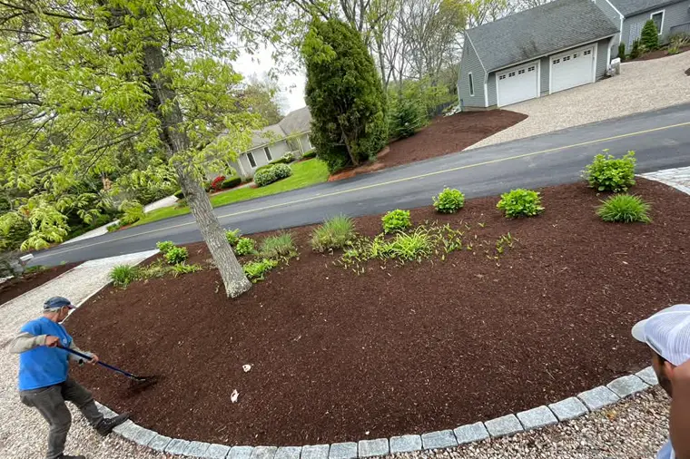 Crew spreading mulch on a front yard bed