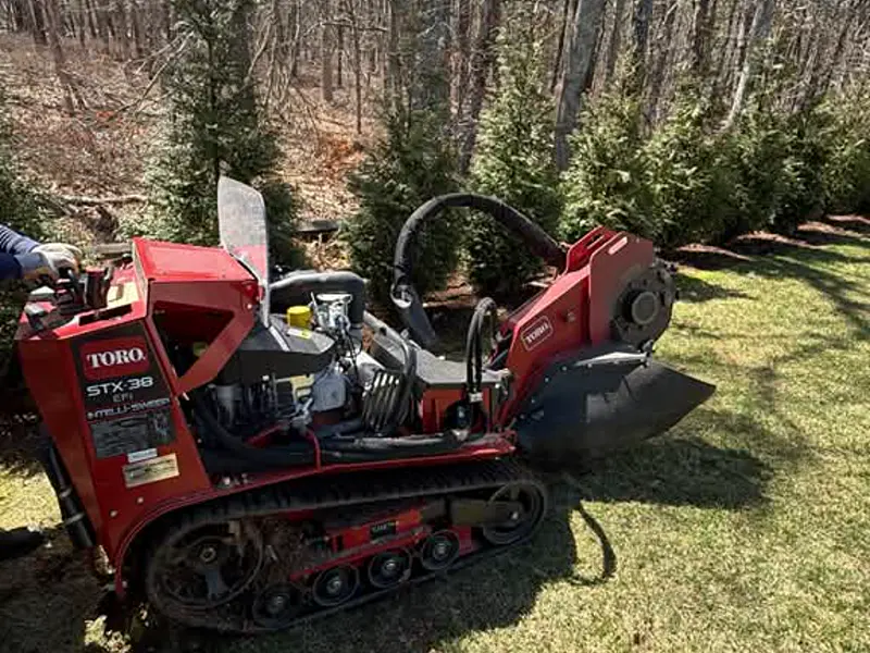 Stump grinder removing a tree stump in Cape Cod